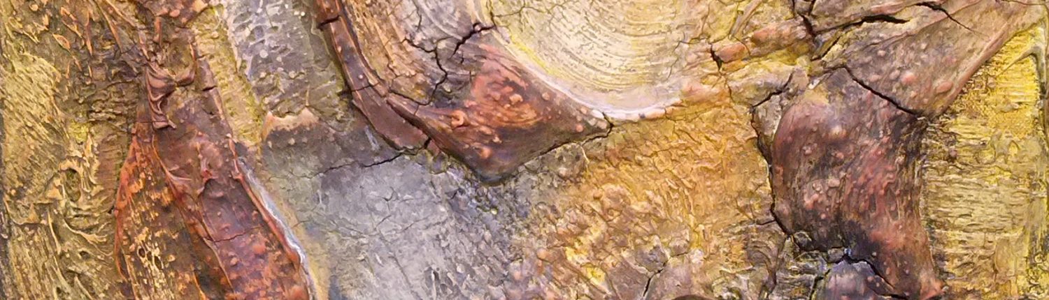 Ursula Schmidt - Abstrakte Malerei - Strukturbild 40 x 80 cm